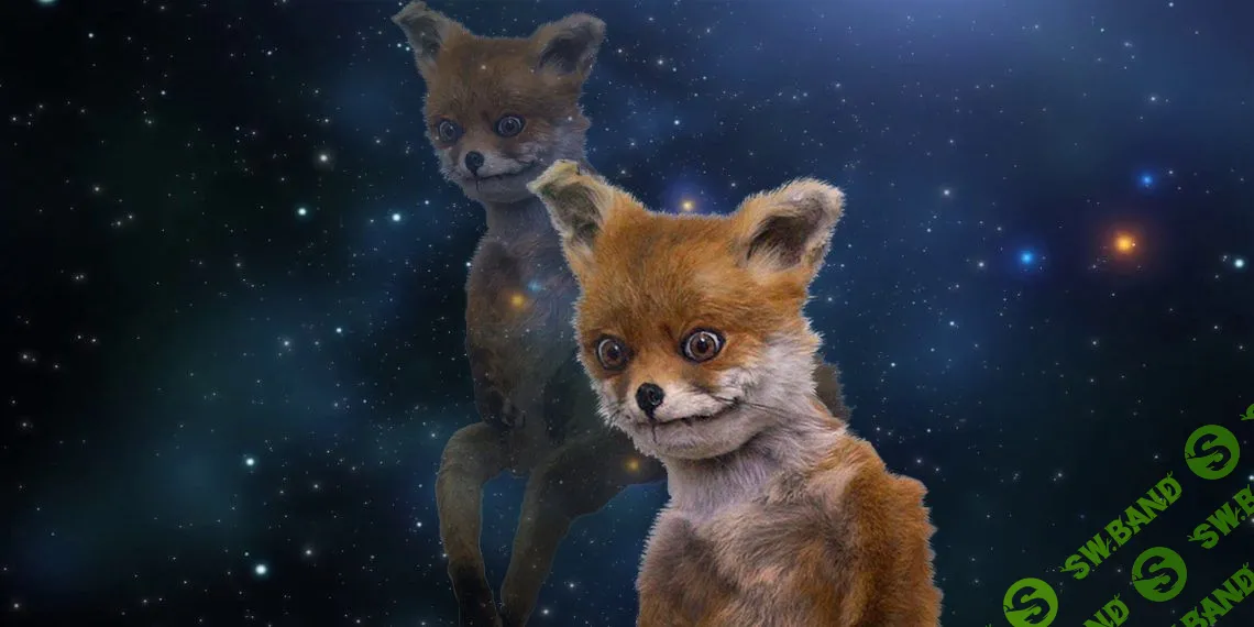 От депрессии до ригидности: что скрывается за популярными психологическими терминами