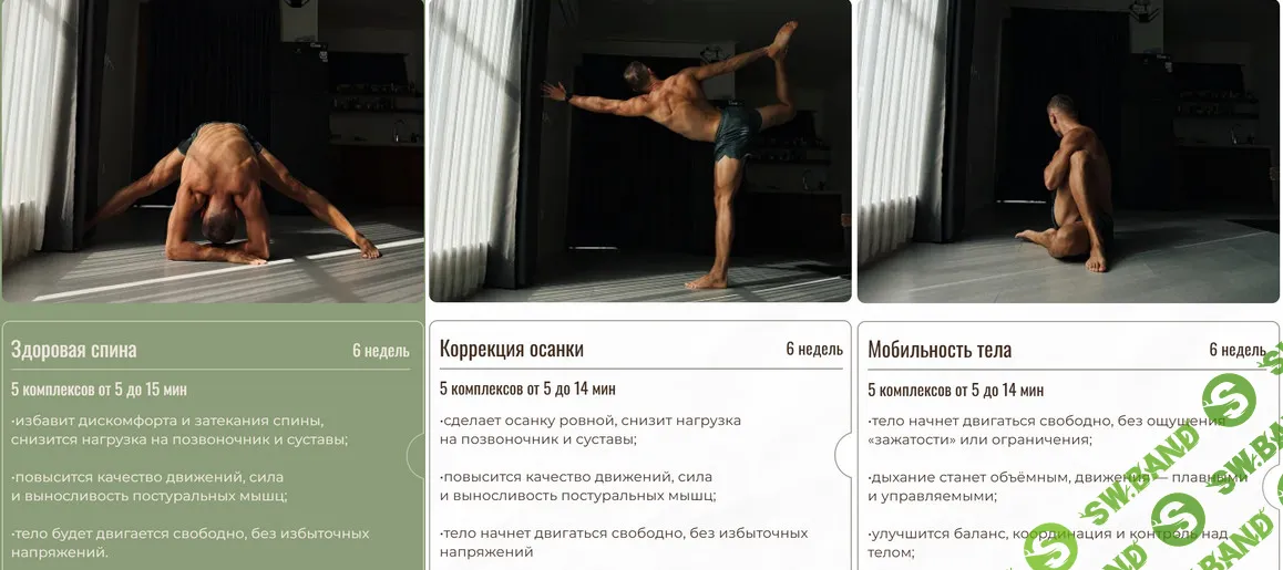 Оздоровительные комплексы: Здоровая спина, Коррекция осанки, Мобильность тела [Евгений Москалёв]