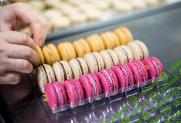 [Pastry Campus, Мария Селянина] Уровень 7. Печенье и макарон (2020)