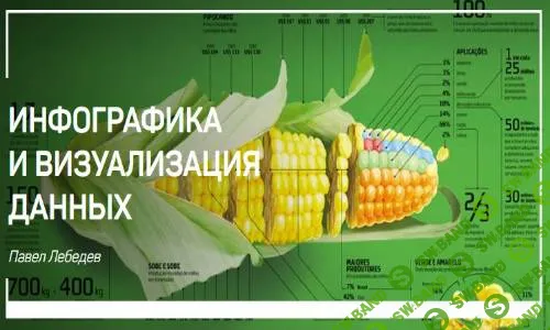 [Павел Лебедев] Инфографика и визуализация данных (2018)