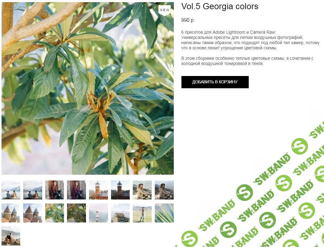 [Павел Возмищев] Павел Возмищев-цвета Грузии