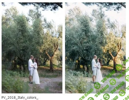 [Павел Возмищев] Павел Возмищев-цвета Италии