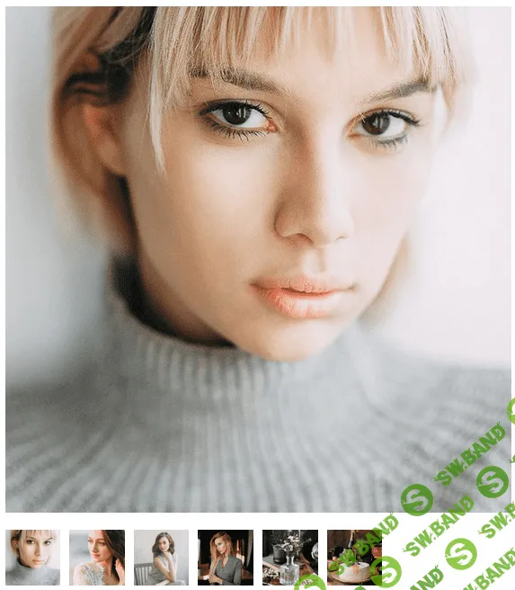 [PAVEL VOZMISCHEV] Vol.1 Portrait, food and toon presets