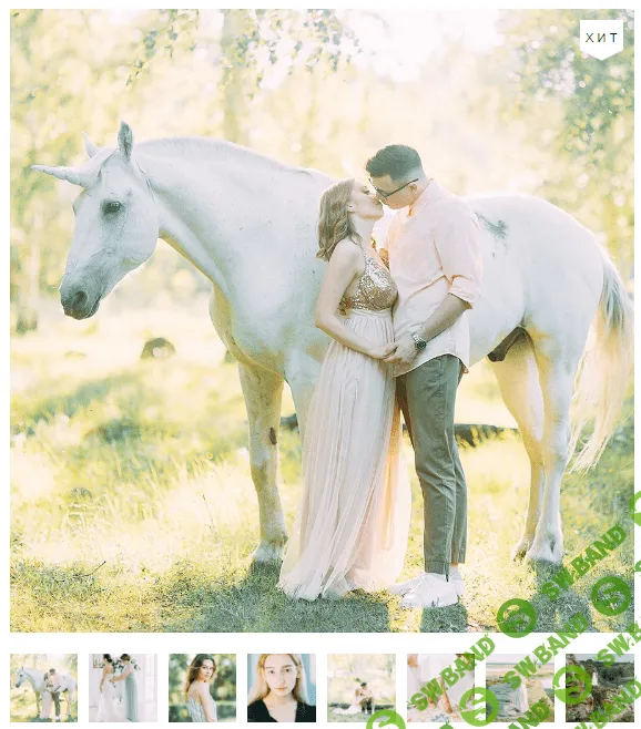 [PAVEL VOZMISCHEV] Vol.2 Fine Art Presets