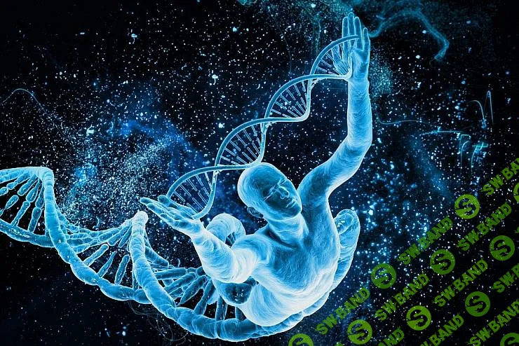 [Пегги Феникс Дубро] Активация 12 слоев ДНК (3-4) (2016)