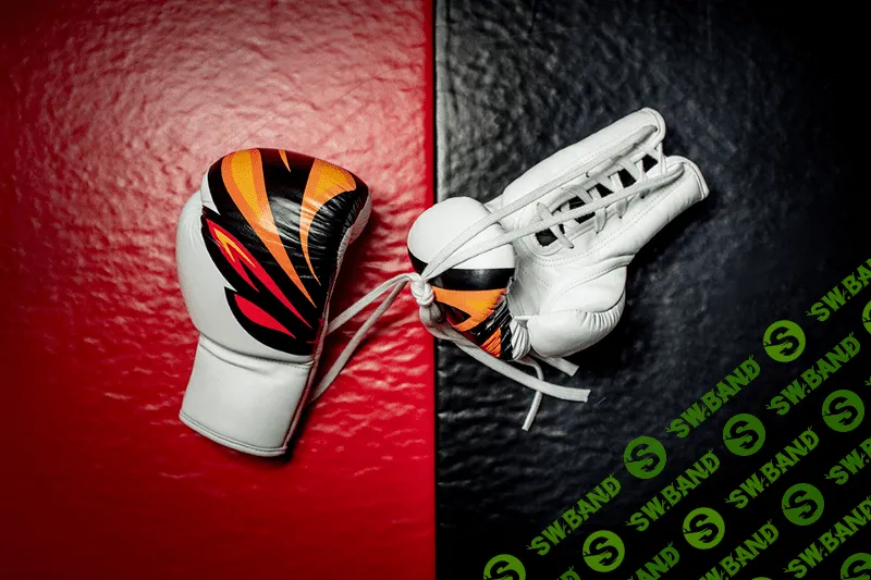 Первое правило бойцовского клуба: Камил Гаджиев (Fight Nights) — о бизнесе на MMA