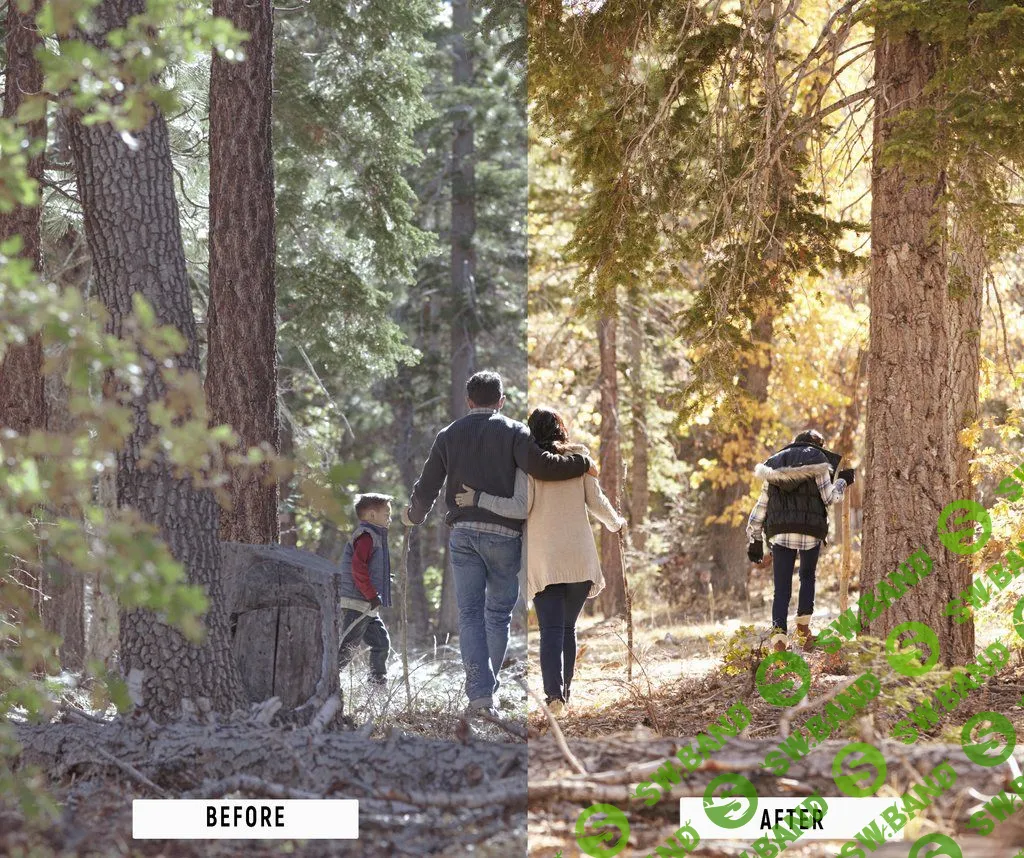 [Photo preset corporation] Video Presets - All shop 2380+ LUTs Bundle 2019/03