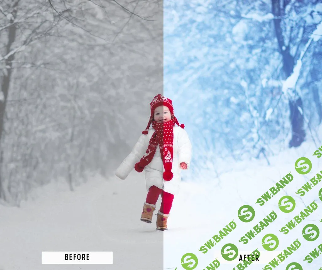 [Photo preset corporation] Video Presets - All shop 2380+ LUTs Bundle 2019/03