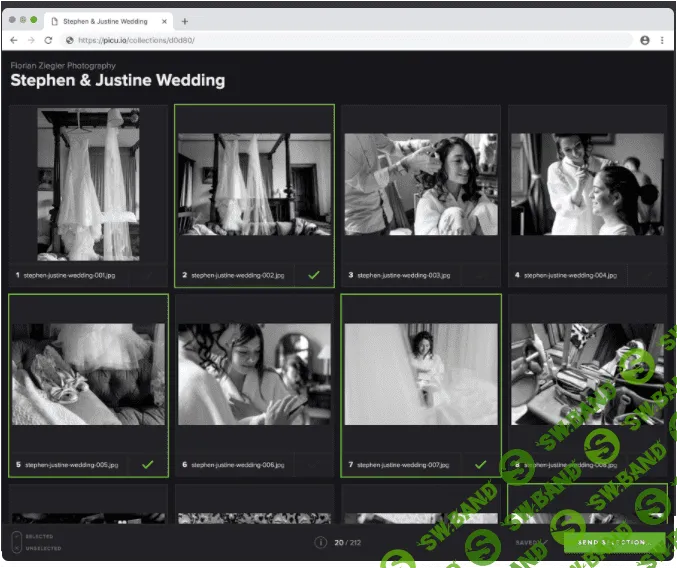 [picu] picu PRO v1.6.0 - галерея фотографий WordPress (2021)