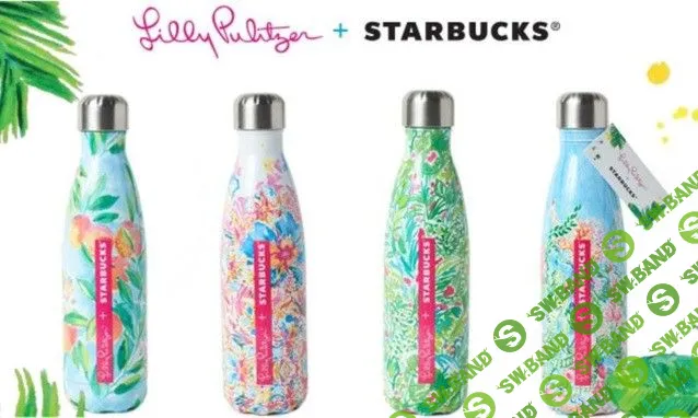 Почему многоразовые бутылки так популярны: экологичность, спорт, высокая мода и другие тренды