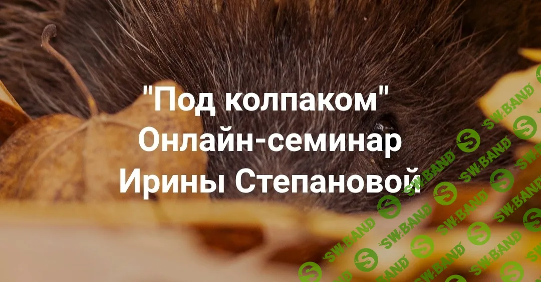 Под колпаком. Травма невидимости. Меня не замечают. Не получается составить отношения [Институт Открытого поля] [Ирина Степанова]