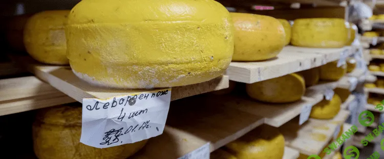 Под покровом футбола: как повышение НДС отразится на частном бизнесе