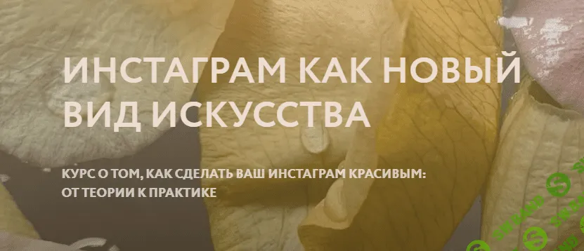 [Polina Dzenis] Инстаграм как новый вид искусства (2020)