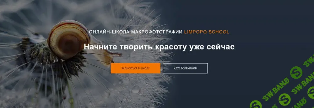 [Полина Серова, Арсен Алабердов] Курс по макрофотографии (2019)