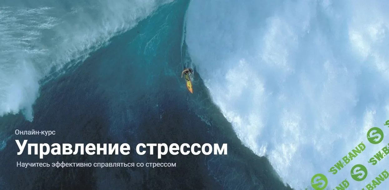 [Полина Тур, Полина Кривых] Управление стрессом (2022)