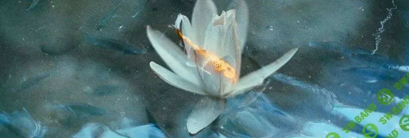 [Polina Washington] Продвижение (2022)