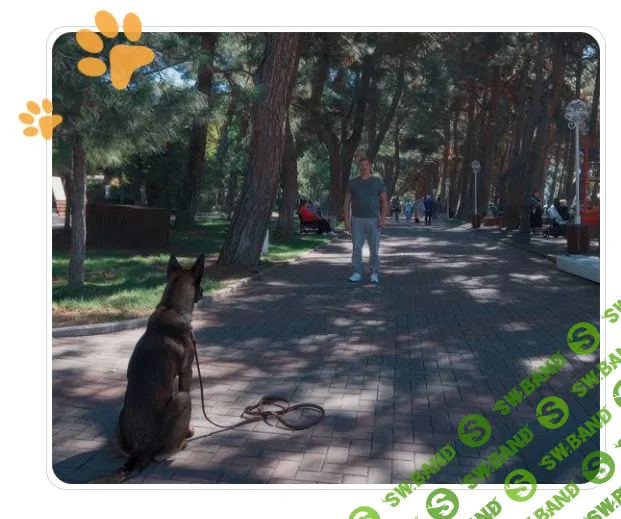 Практический онлайн-курс по выдержке и фиксации позиций [Умный хвост] [Никита Катеринич]