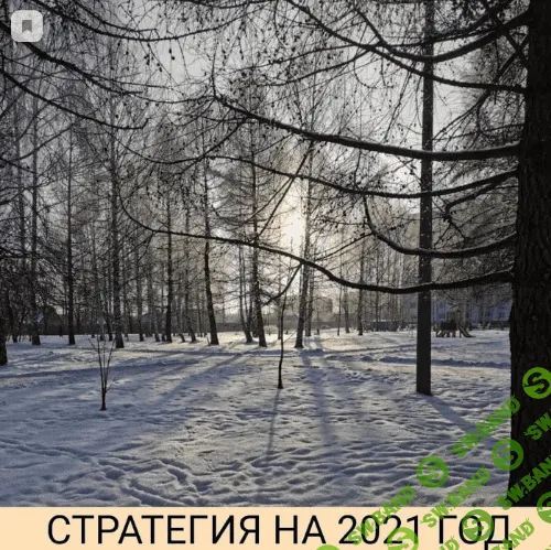 [Private Investor] [Александр Петров] Стратегия на 2021 год