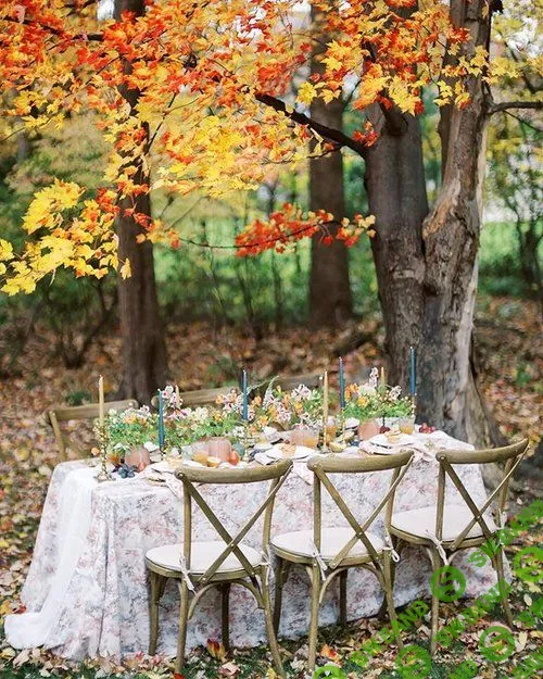 [Pro Pack] C1ick Match Fujifilm Pro Pack