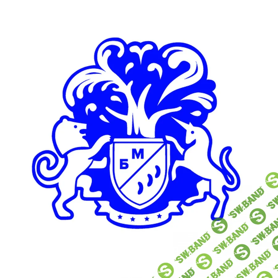 Проект «Бизнес молодость»