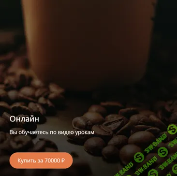 Профессиональное обучение ремонту кофемашин. Индивидуальный курс для будущих мастеров [Егор Дурягин]