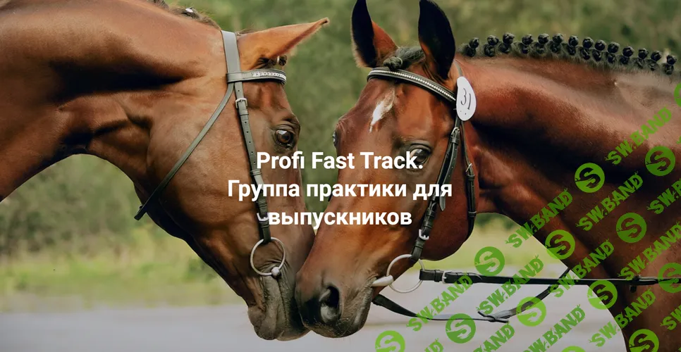 Profi Fast Track. Группа практики с супервизией для выпускников [Институт Открытого поля] [Елена Веселаго]
