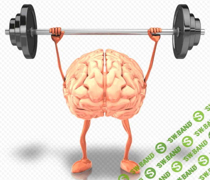 Прокачка мозга для работающих за ПК