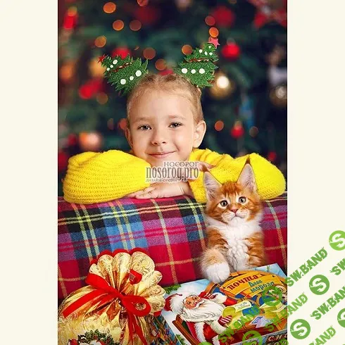 [PSD] Фотошаблон Новогодний портрет-3 [Дизайн-студия Носорог]