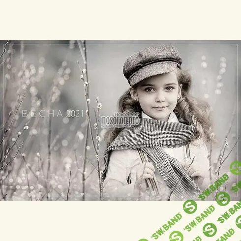 [PSD] Весенний фотошаблон. Верба [Дизайн-студия Носорог]