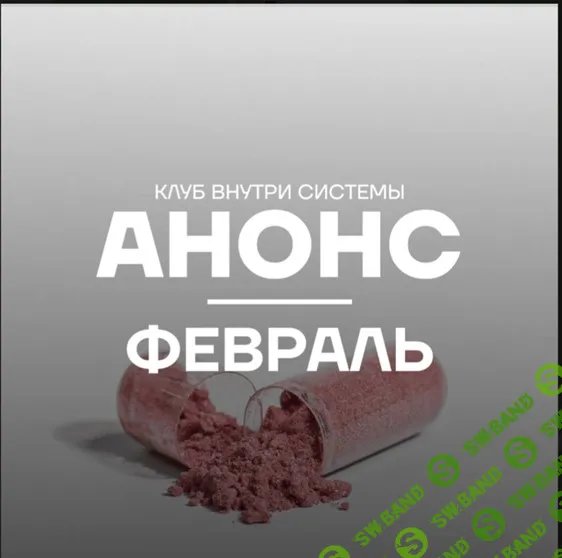 [Pure peptides] Внутри системы (февраль 2026)