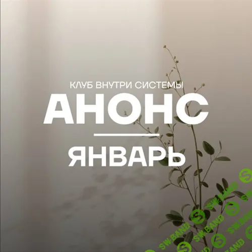 [Pure peptides] Внутри системы (январь 2026)