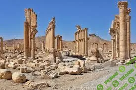 [Пушкинский музей, Елена Стриевская] Древние и средневековые города Сирии (2025)