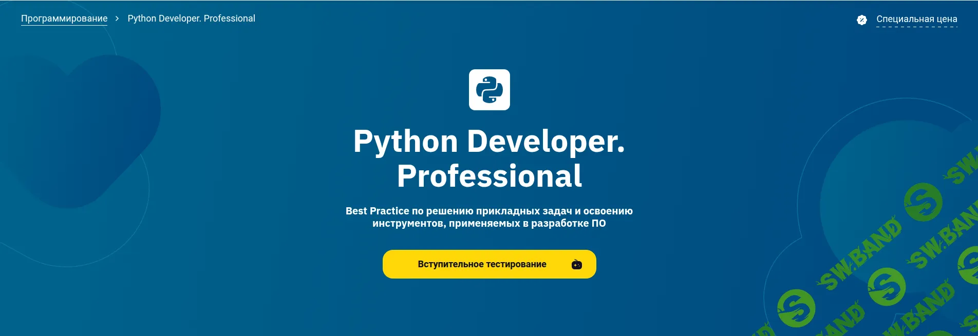 Python Developer Professional (2026) [OTUS] [Станислав Ступников, Ринат Садыков, Евгений Ревняков]