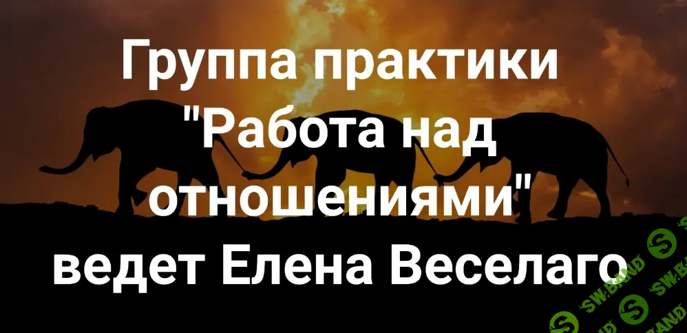 Работа над отношениями [Институт Открытого поля] [Елена Веселаго]