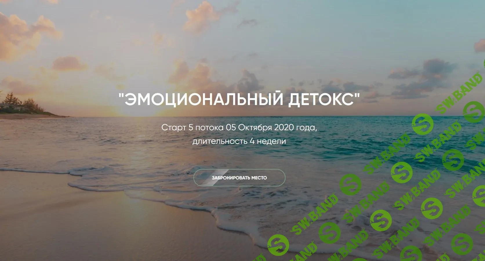 [Рада Русских] Эмоциональный Детокс (2020)