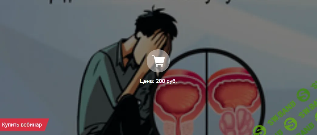 Растительные адаптогены для профилактики и терапии дисгормональной гиперплазии простаты [Клиника Калинченко, компания Биолит] [Наталия Коротченко]