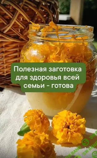 [Разнотравье] Медовые эликсиры (2024)