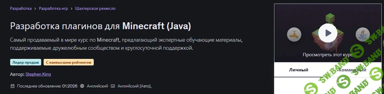 Разработка плагинов для Minecraft (Java) [Udemy] [Stephen King]