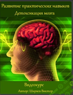 Развитие практических навыков: Детоксикация мозга