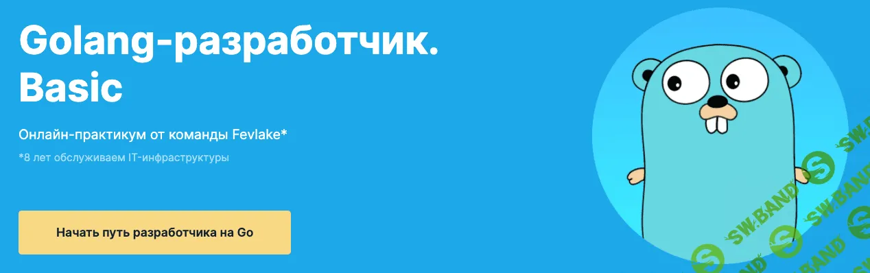 [Rebrain & Fevlake] Golang-разработчик Basic (2021)