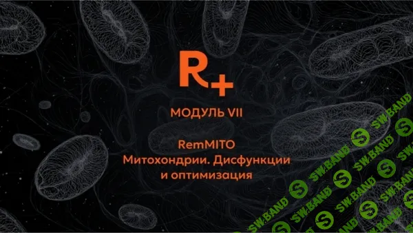 [Remee+, Владимир Попов] R+. Модуль 7. РемМИТО (RemMITO). Митохондрии. Дисфункции и оптимизация (2026)