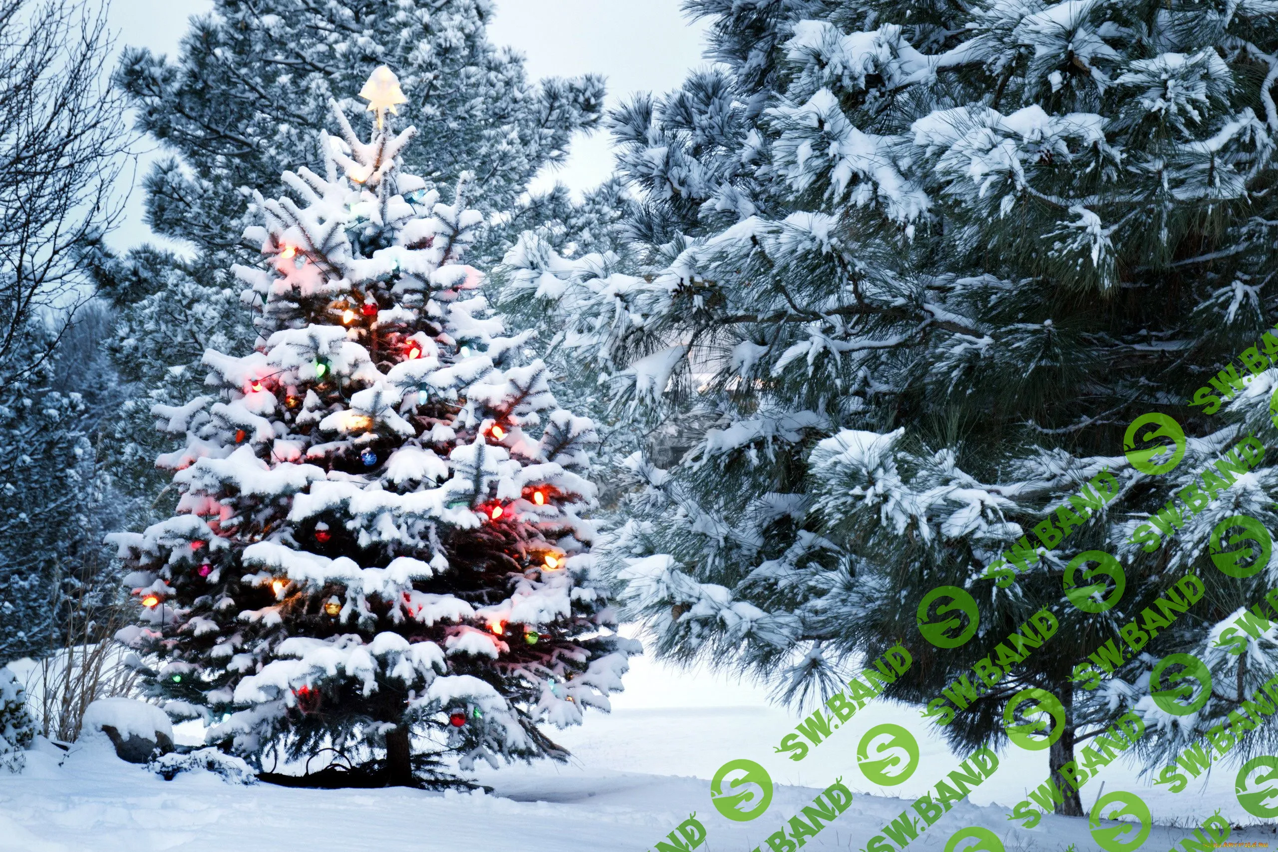 [Рита Степанченко] Зимний гардероб (2019)