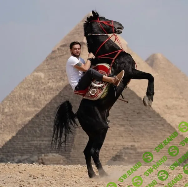 [Роман Шалимов] Запись лекции по продажам (2025)