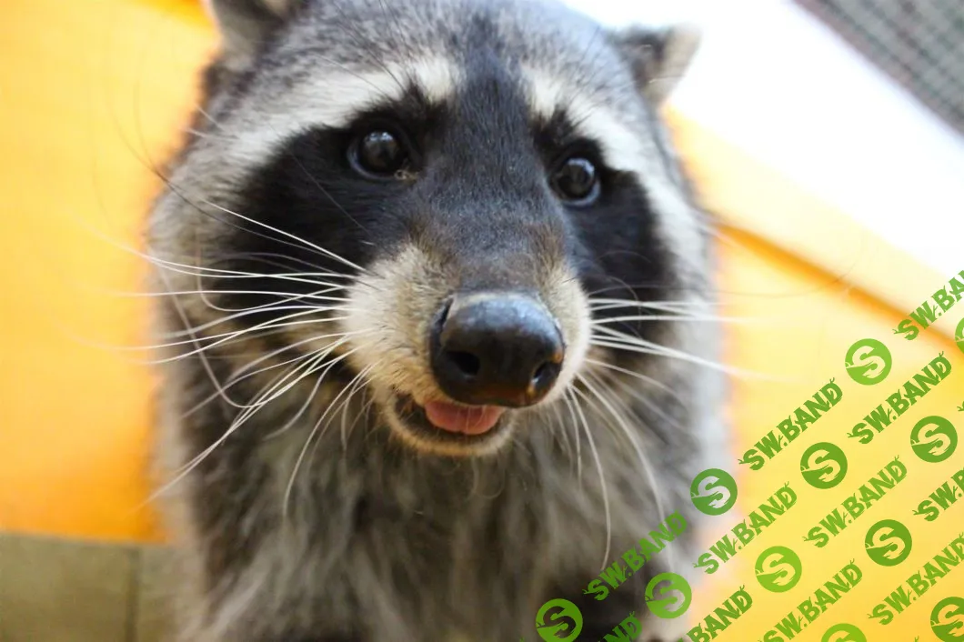 Российский Airbnb для рыбаков