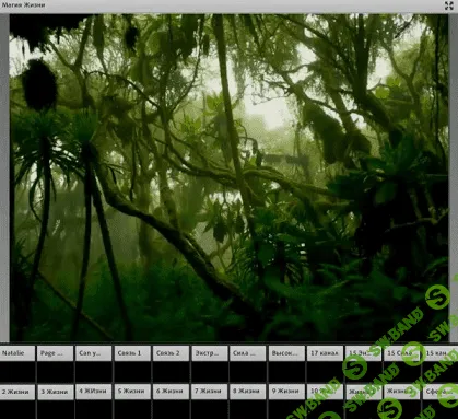 [Рубедо] Магия Жизни (2022)