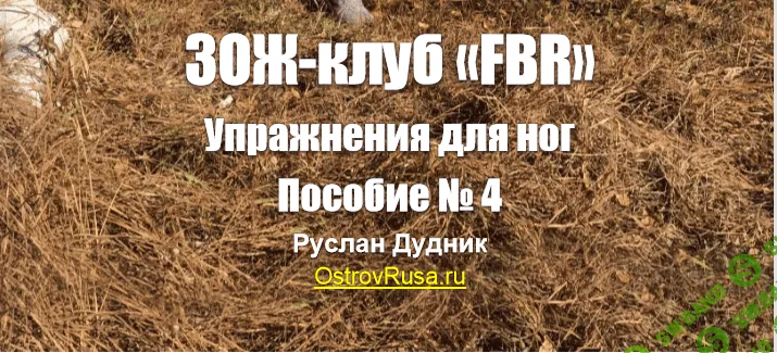Руслан Дудник - Упражнения для ног (2015)