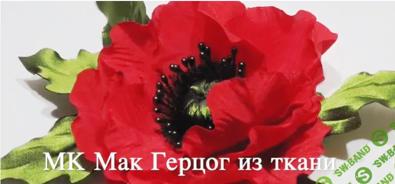 [Русская школа цветоделия] Бесплатный Мастер-класс  Мак Герцог