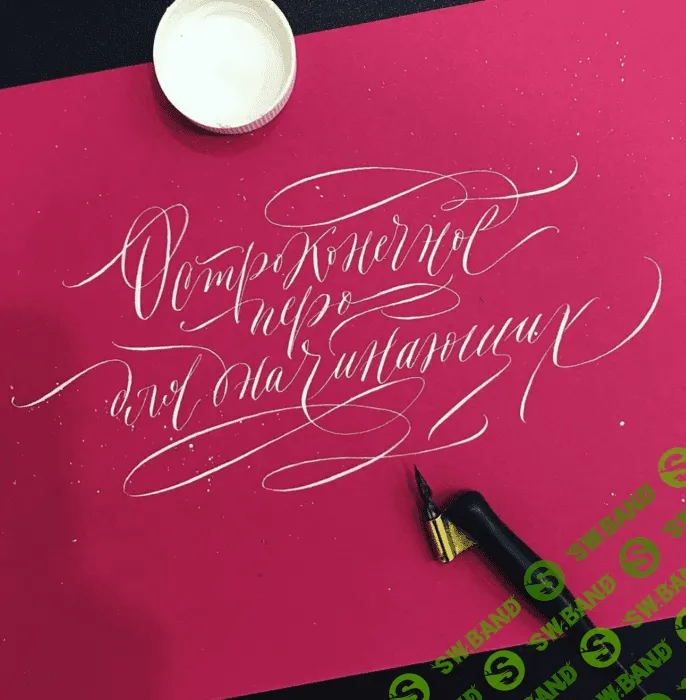 [Сабина Алиярова] Каллиграфия для начинающих. Английский курсив (2019)