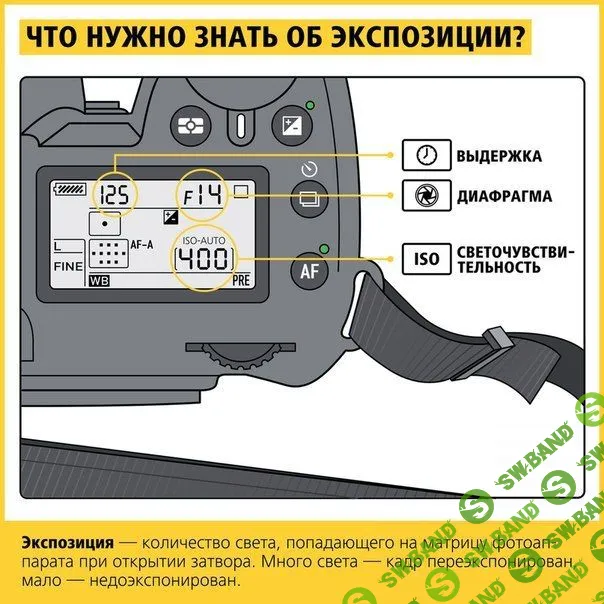 Самое время научиться правильно фотографировать