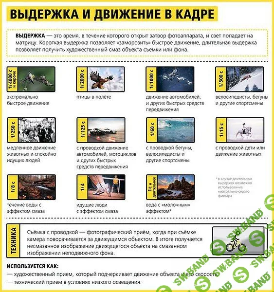 Самое время научиться правильно фотографировать